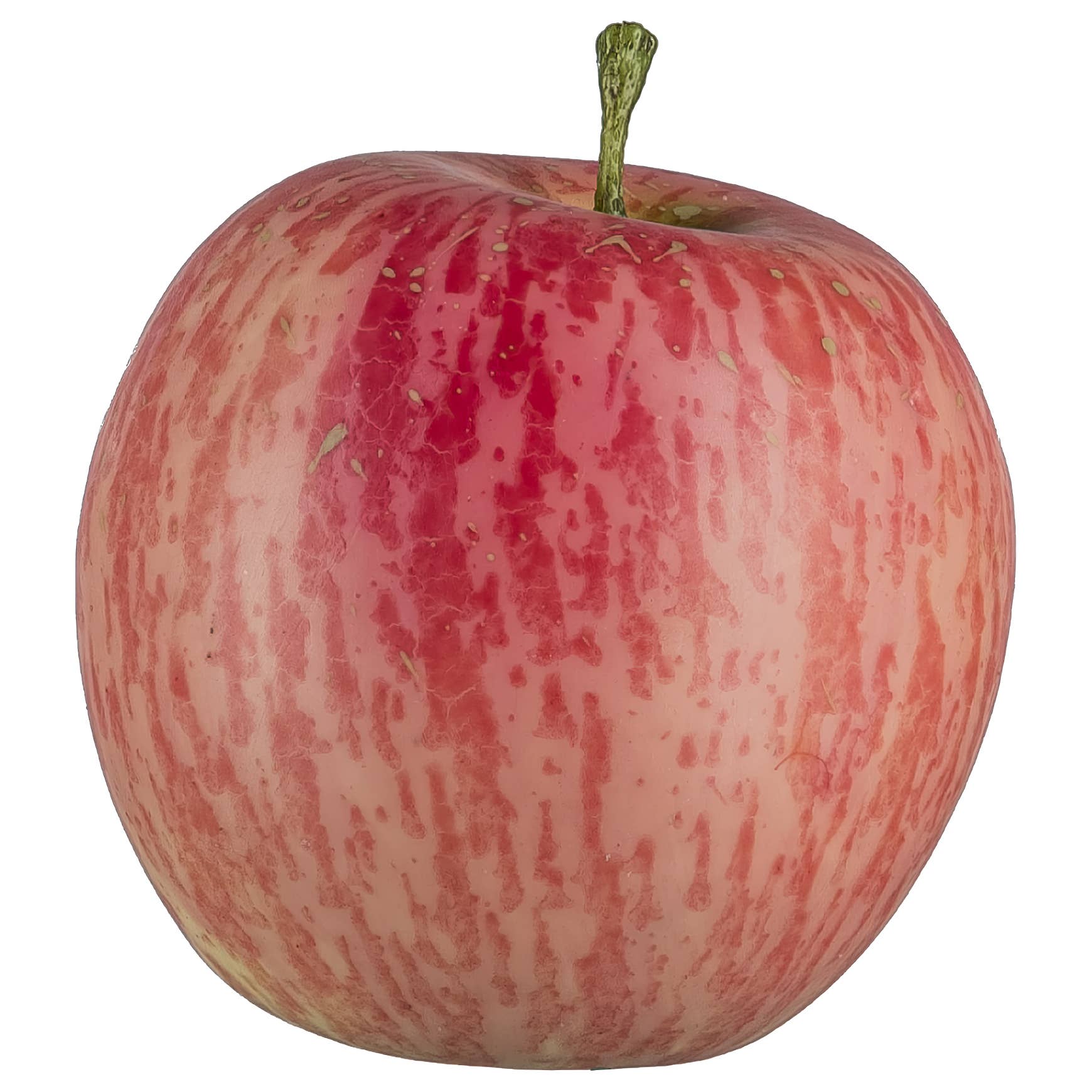 Decorative Apple