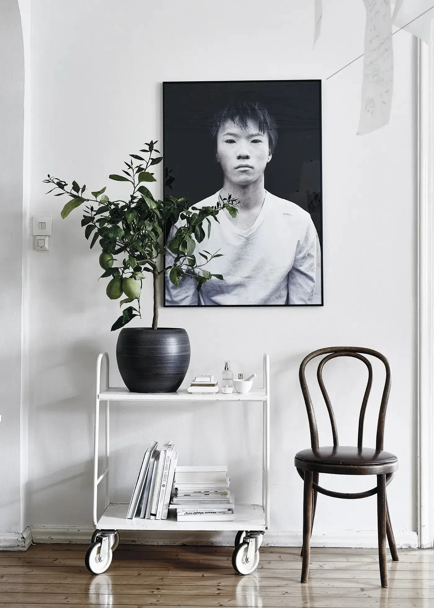 Green Home Book - Image 3