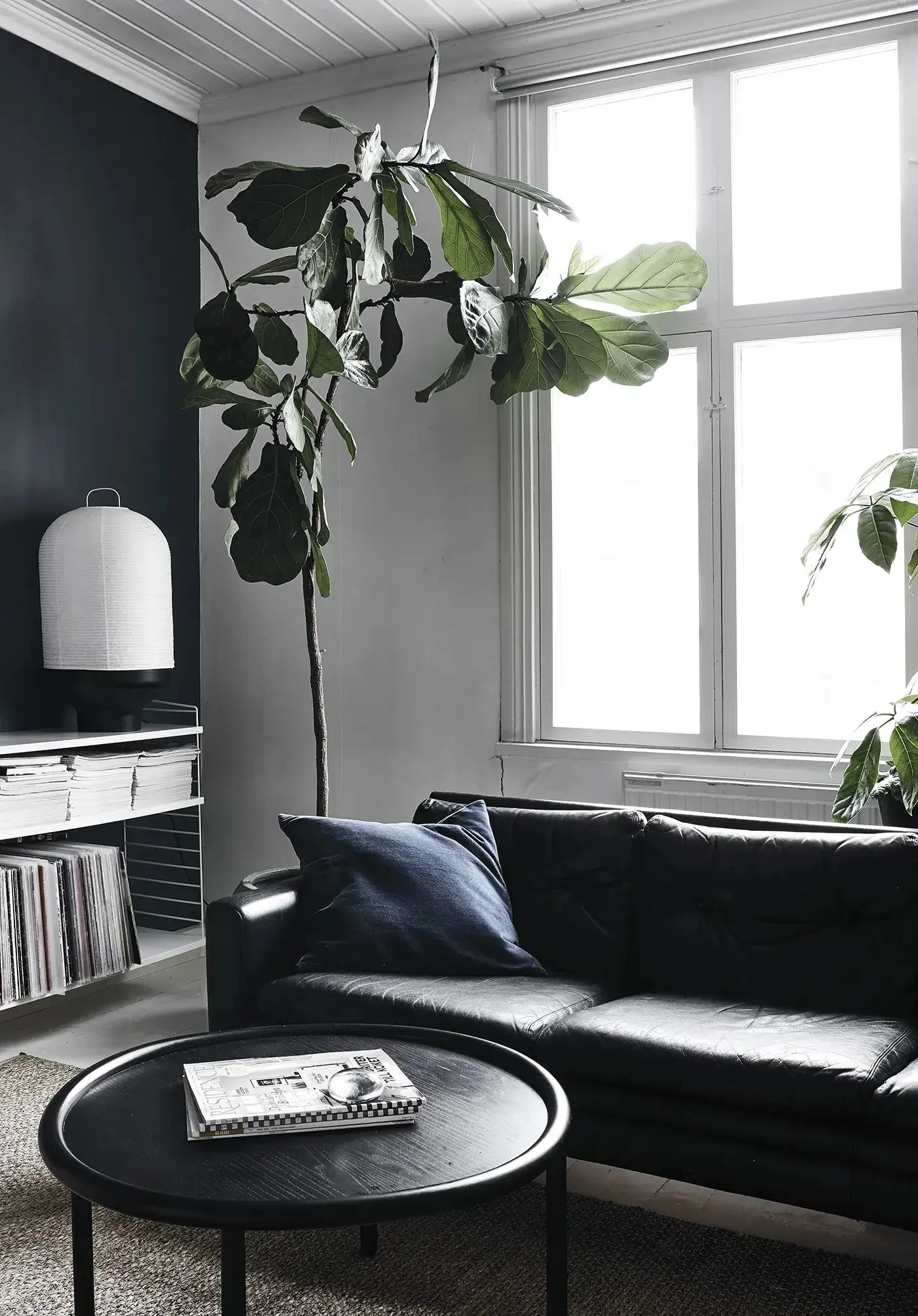 Green Home Book - Image 4