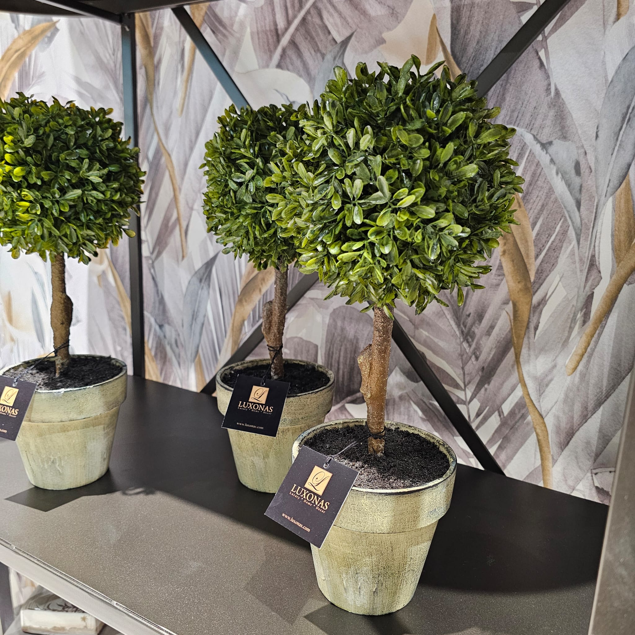 Green Miniature Boxwood Ball in Brown Pot - Image 2