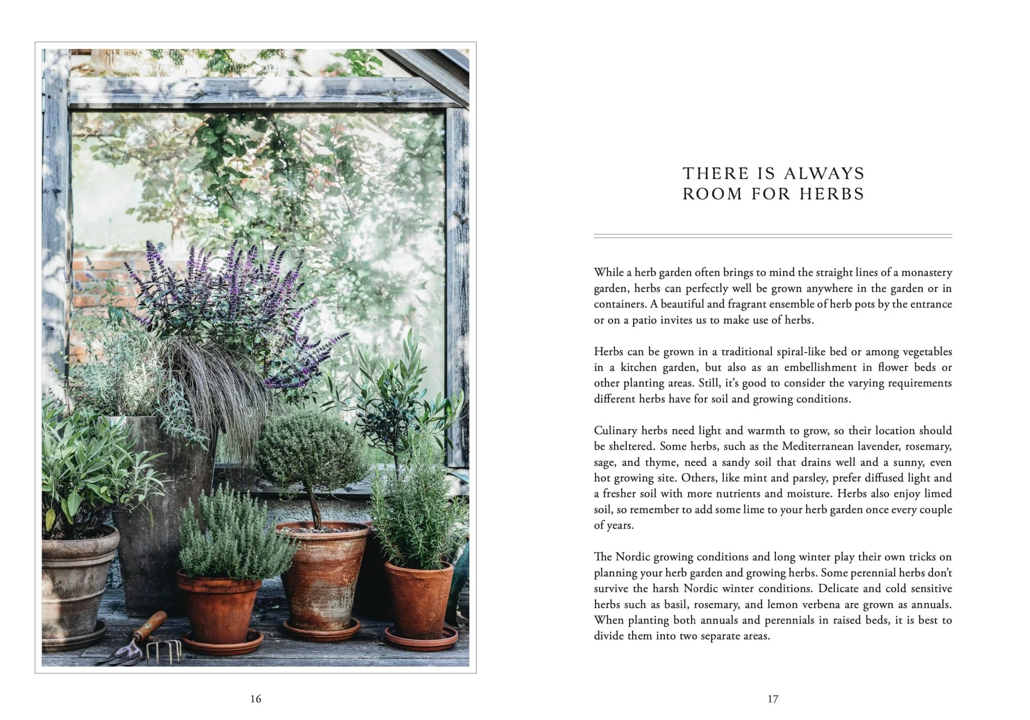 Living with Herbs - Image 2
