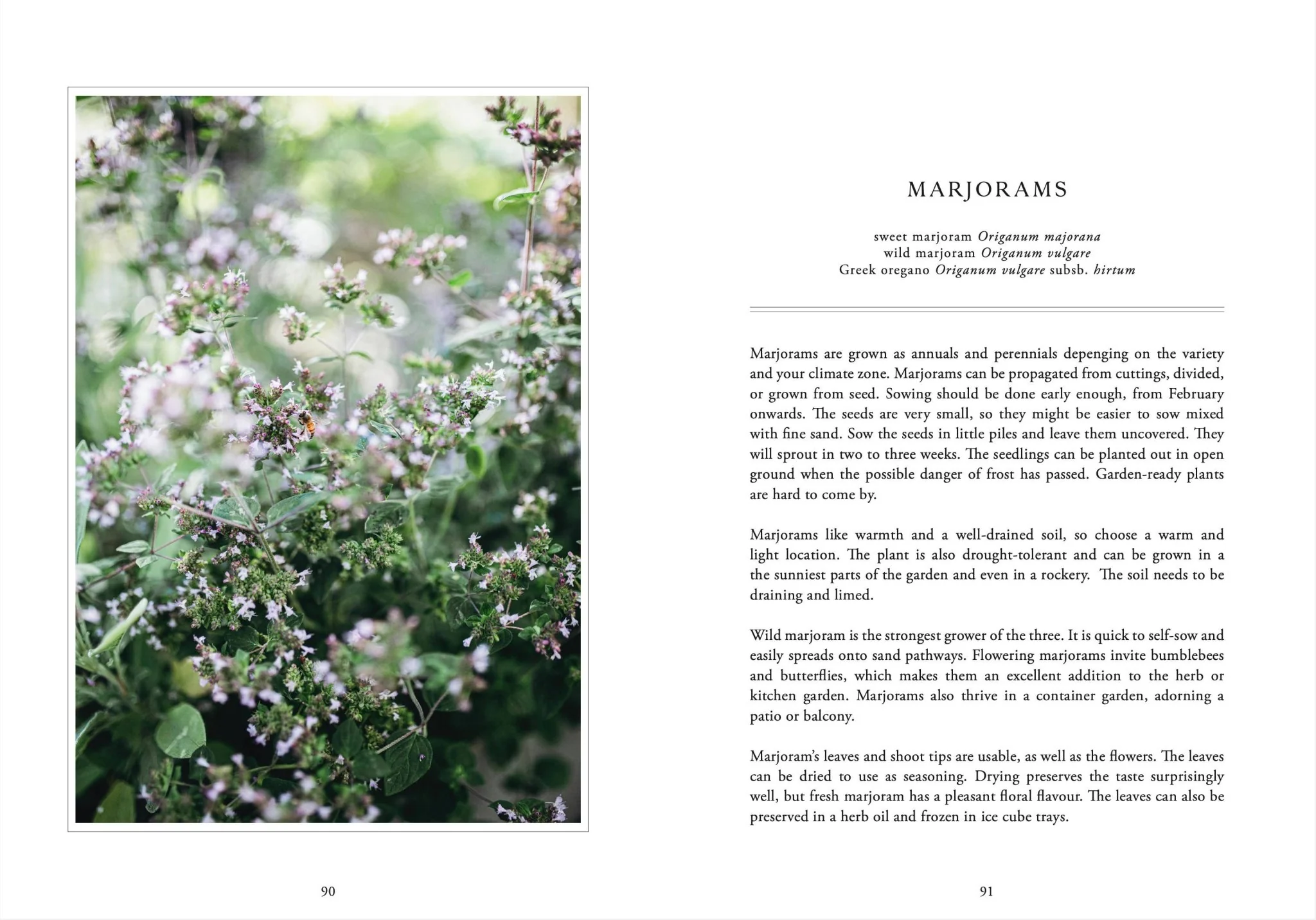 Living with Herbs - Image 5