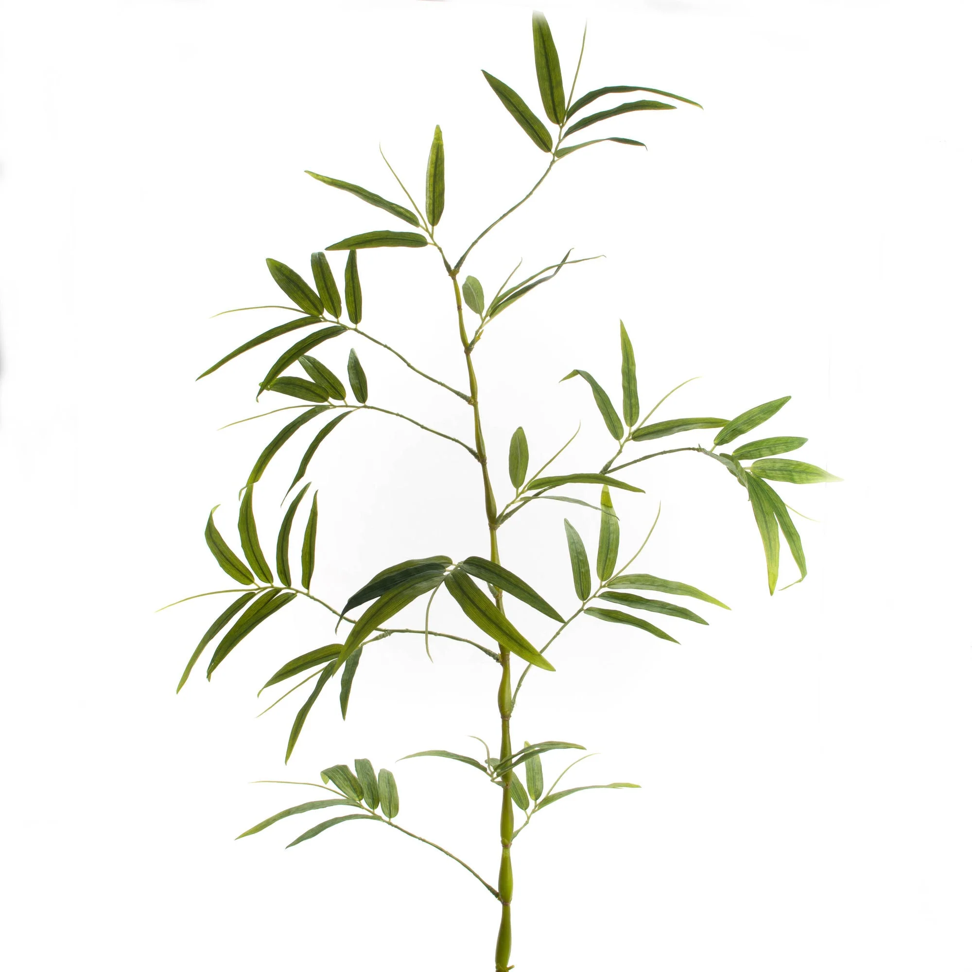 Lucky Bamboo Branch 144cm - Faux Botanical Decor