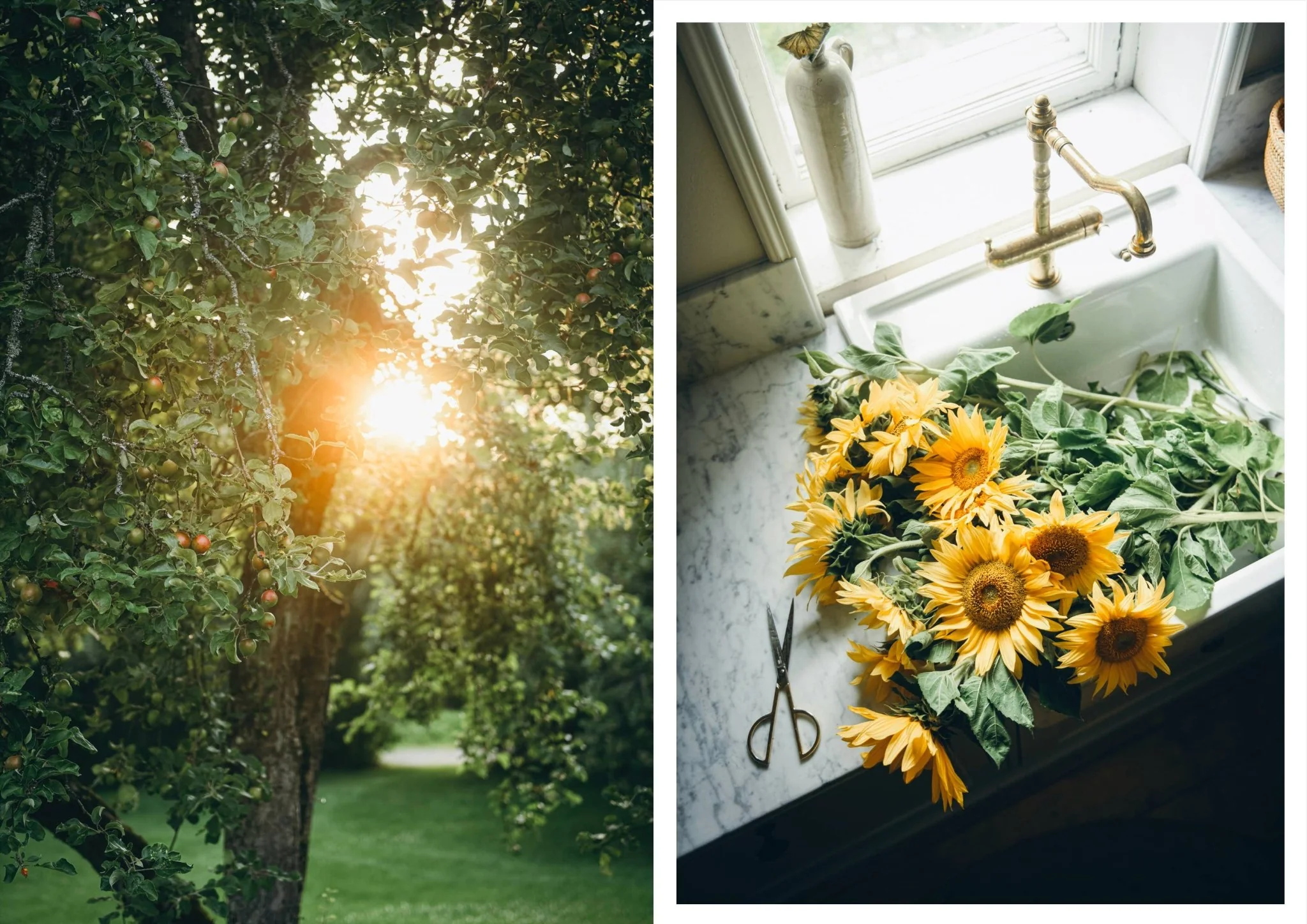 Nordic Summer Cookbook - Image 17
