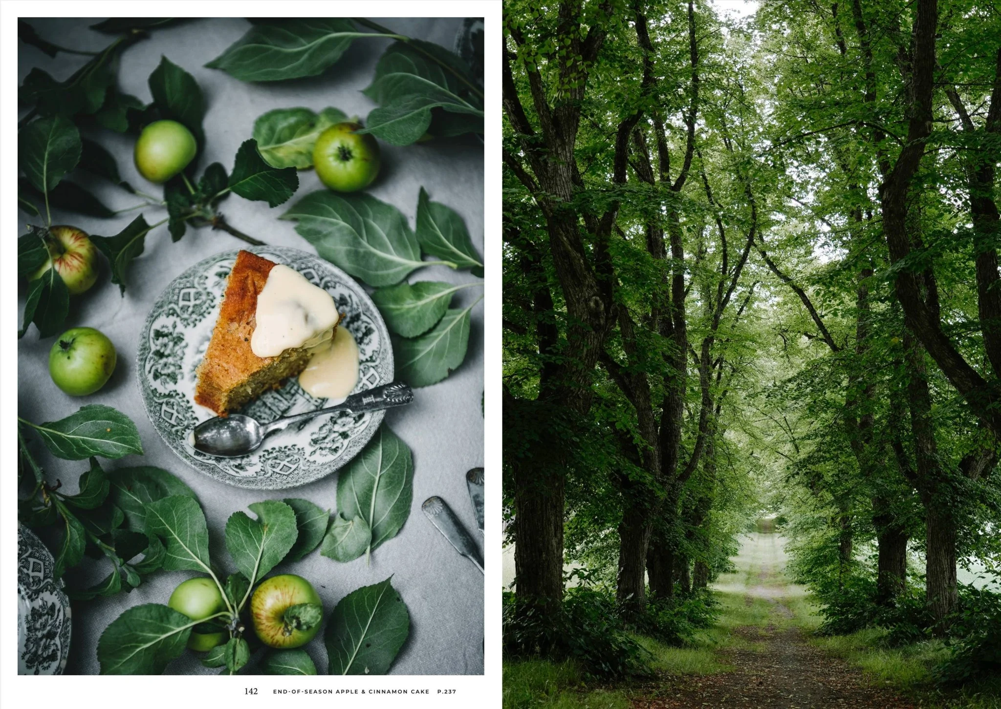 Nordic Summer Cookbook - Image 4