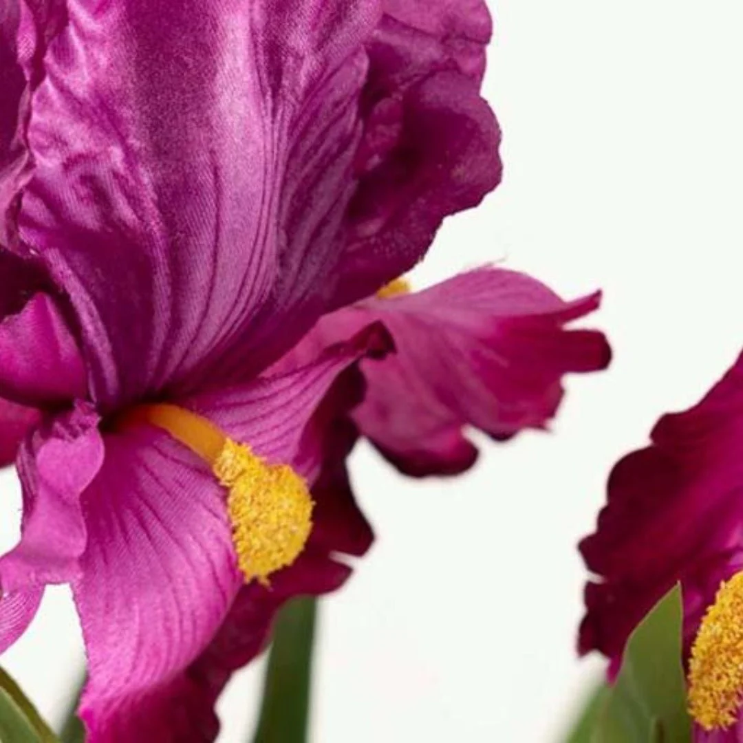 Pink Cattleya Plant in Pot - Elegant Artificial Orchid - Image 2