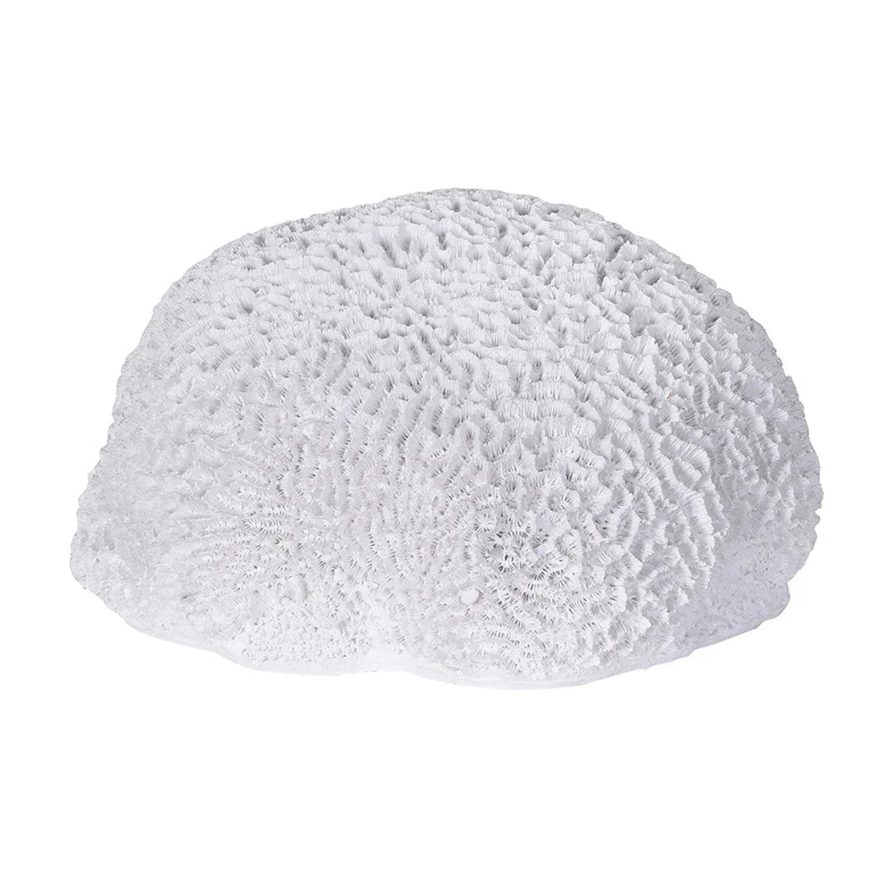 Rinena Coral Decorative Piece