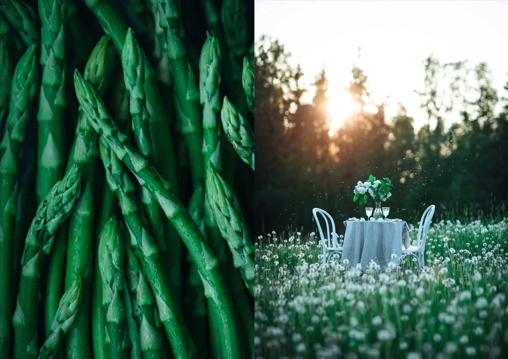 The Art of Fun Dining - Cookbook - Image 2
