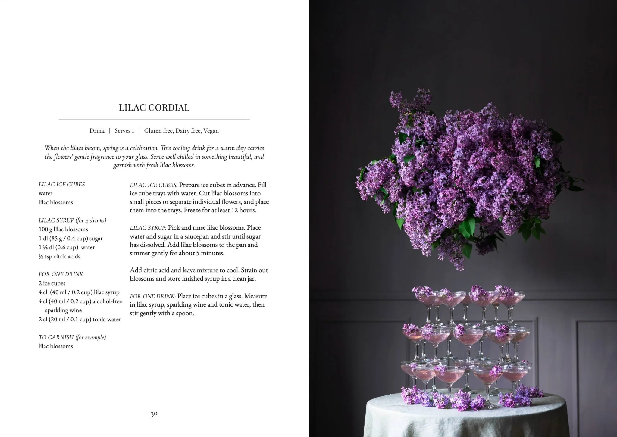 The Art of Fun Dining - Cookbook - Image 8