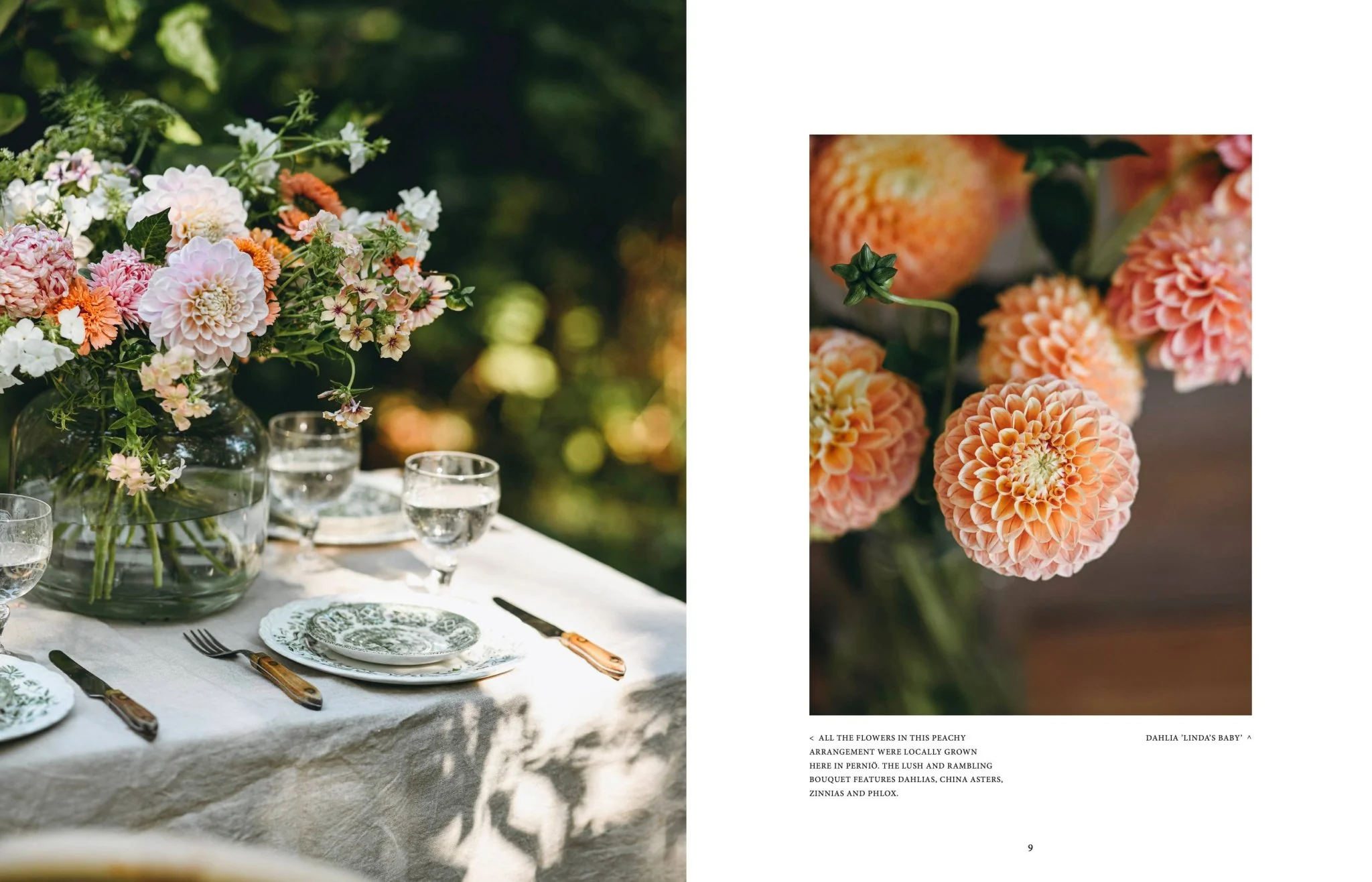 Where Flowers Bloom - Image 2
